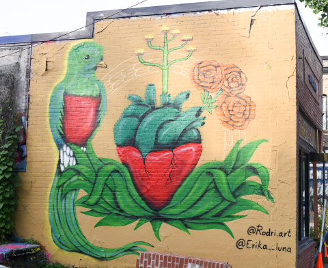 @Rodri.art @Erika_luna July 2025 Mother Fool's Graffiti Wall